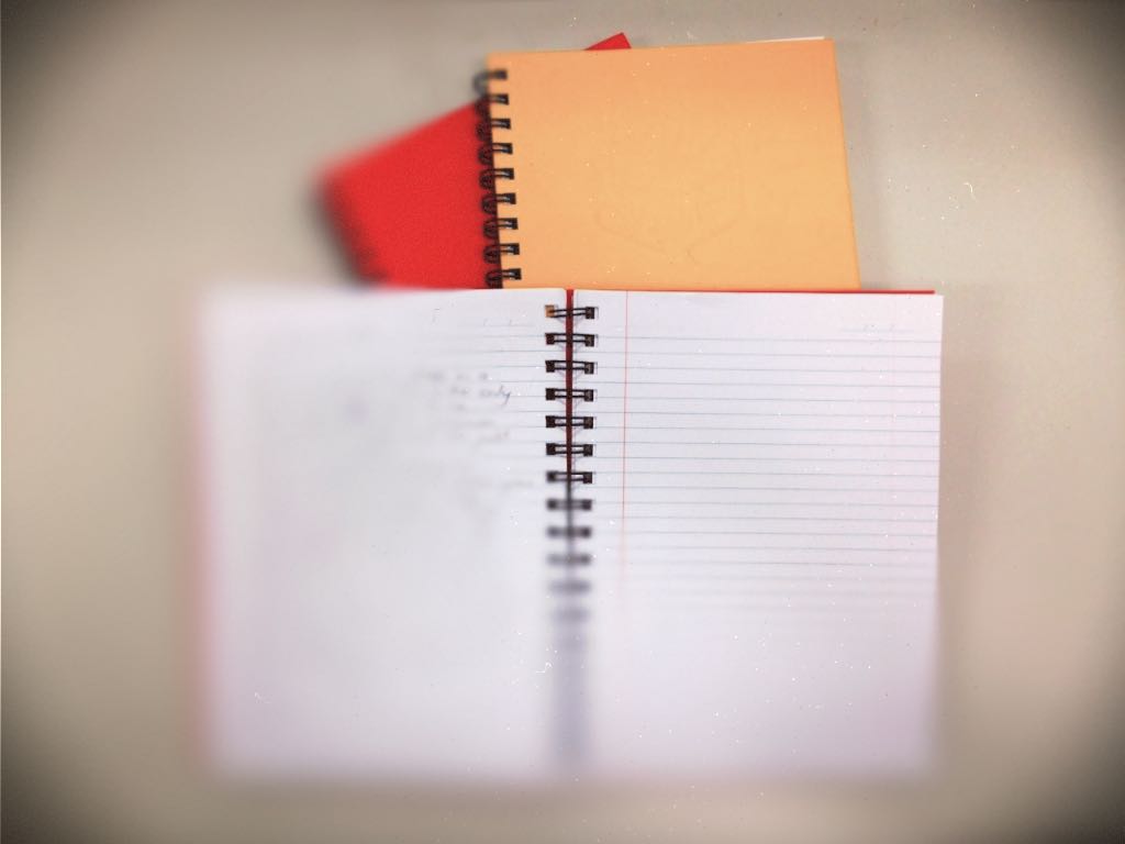 Picture of some blank diaries